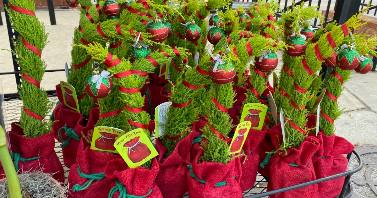 a collection of trader joe's Grinch Christmas Trees on display at store