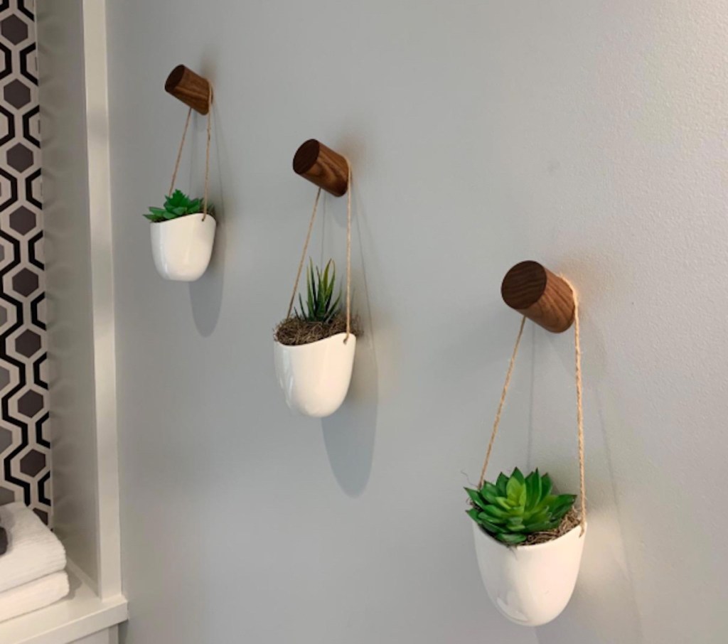 three hanging succulents one natural wood wall hooks knobs