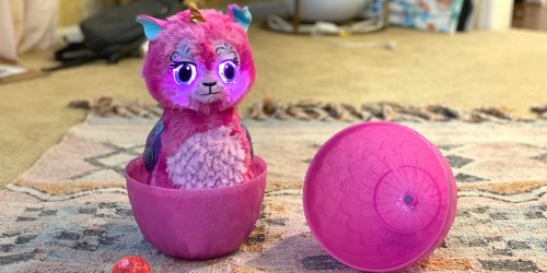 We Cracked Open the Popular Hatchimals WOW Egg Toy & Here’s What We Thought…