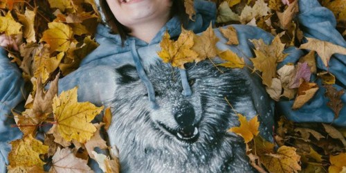 40% Off + FREE Shipping at TheMountain.com | Hoodies, Totes + More