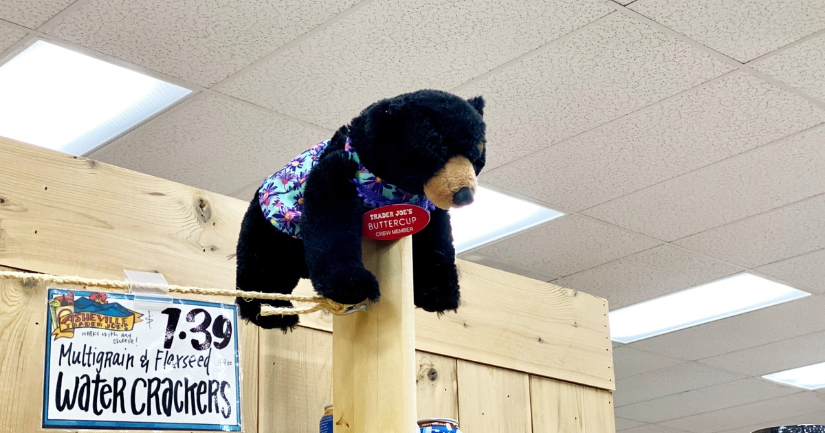 Stuffed Bear wearing a nametag at Trader Joe's