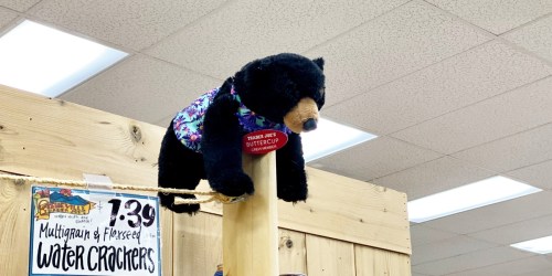 Did You Know About the Hidden Stuffed Animals at Trader Joe’s?