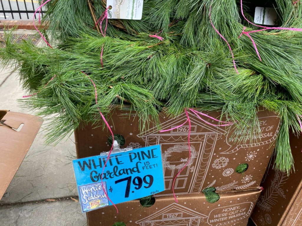 box of pine tree branches