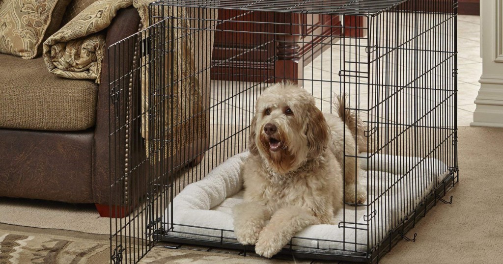 Dog laying inside a metal pet crate