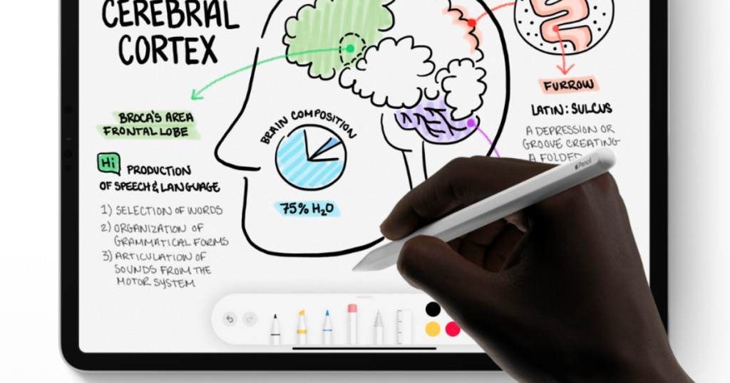 person holding an Apple Pencil 2 drawing on an iPad