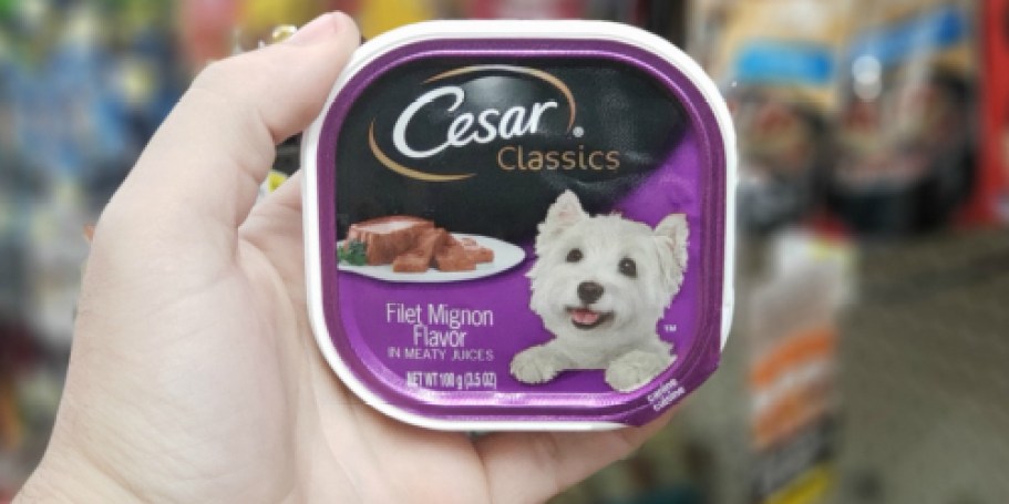 Cesar Wet Dog Food 24-Pack Just $13.50 Shipped for Amazon Prime Members (Reg. $31)