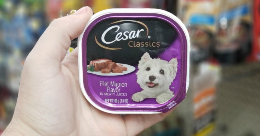 Cesar Classics Dog Food Filet Mignon Flavor