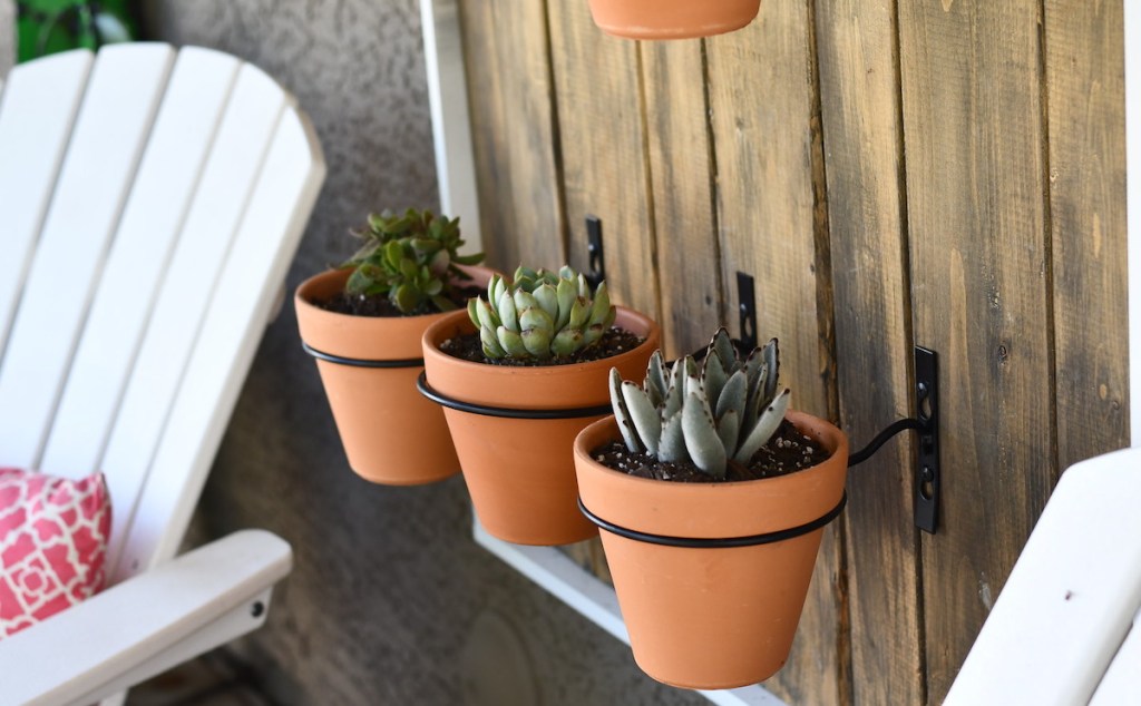 three succulent plants in terracotta planters hanging on wood plank wall