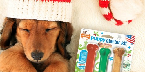 Up to 50% Off Holiday Dog Beds, Toys, & Apparel at Walmart.com