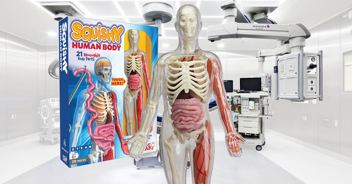 Smart Lab Squishy Human Body Kit in operating room