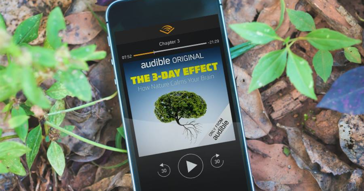 Audible audiobook on phone