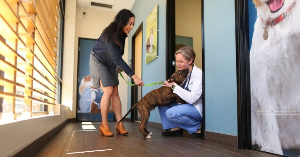 dog and owner greeting vet