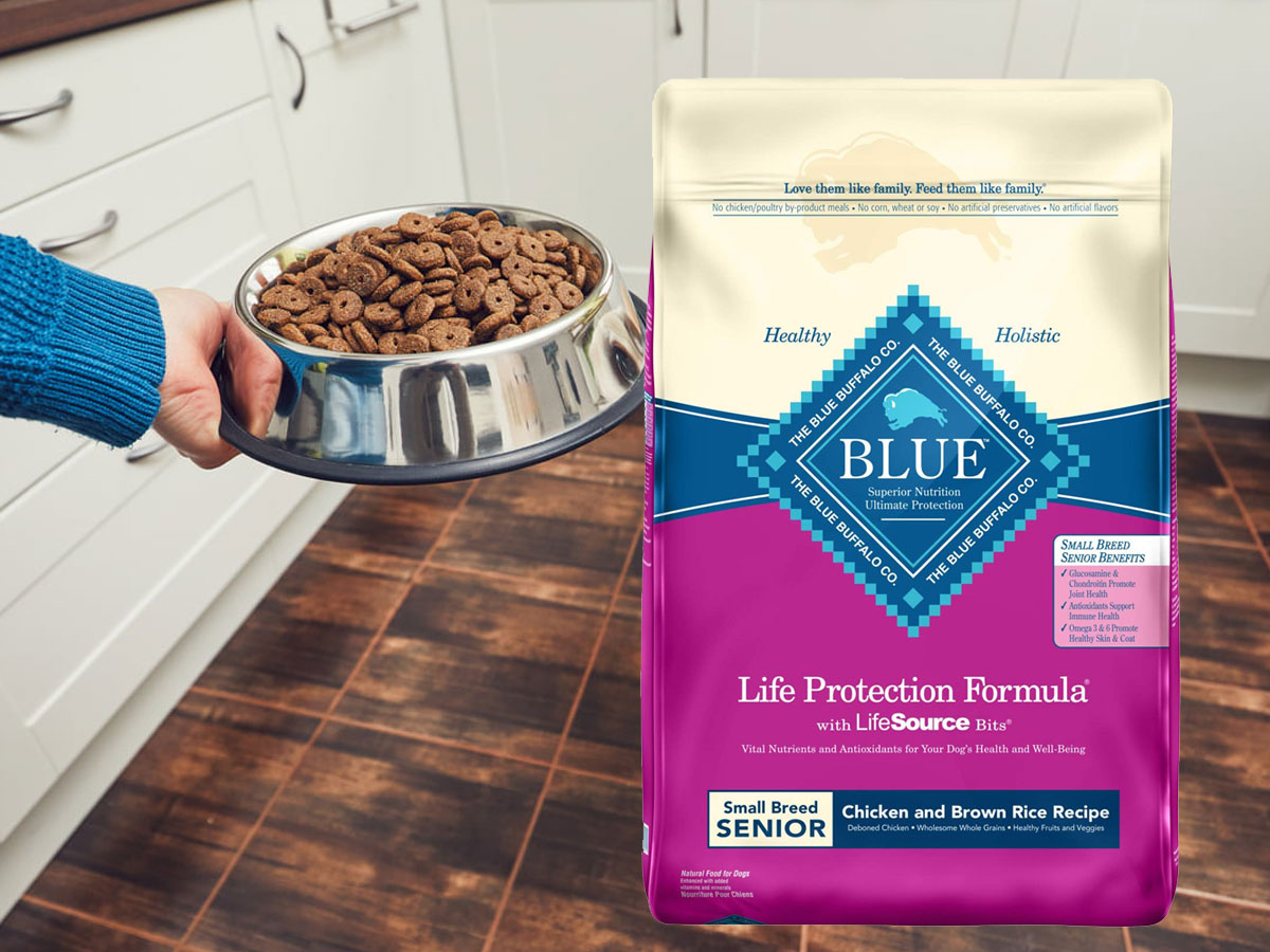 lady with a bowl full of Blue Buffalo Life Protection Formula Small Breed Senior Dog Food