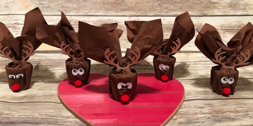 Need a Last Minute Gift Idea for Your Kiddo’s Class? Make Mini Reindeer!