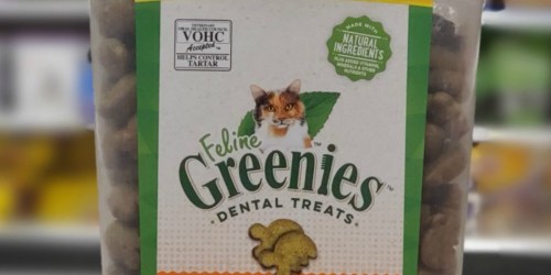 Greenies Feline Cat Treats 21oz Tub Only $7.64 Shipped on Amazon