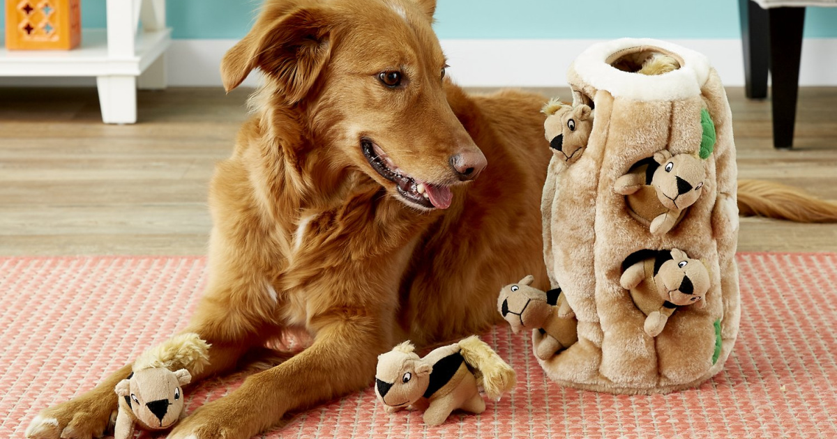 golden retriever playing with squirrel tree toy 