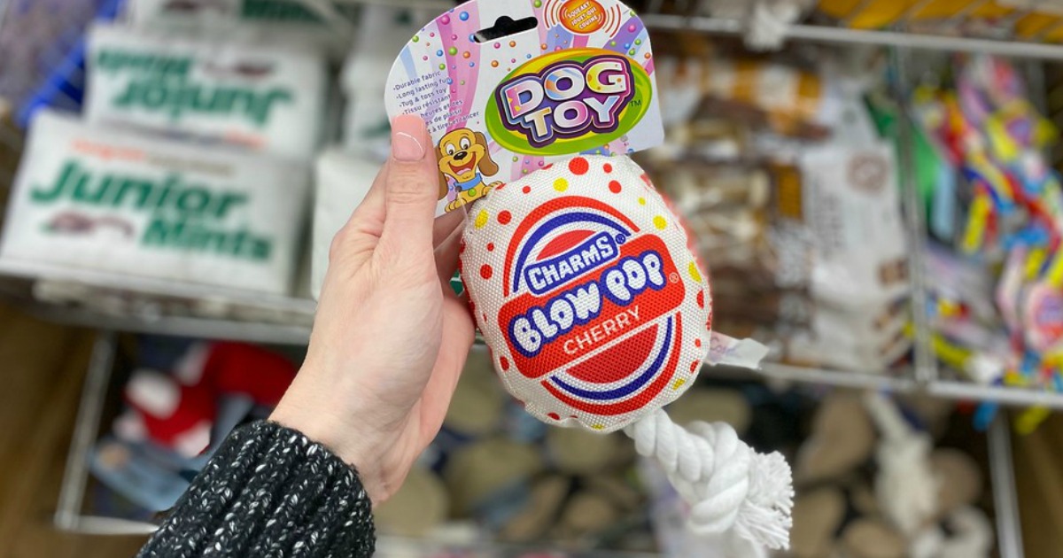 hand holding dog toy in front of store display