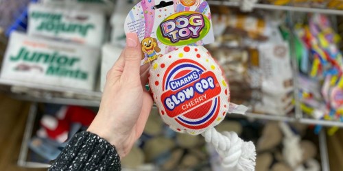 Candy-Themed Pet Toys Only $1 at Dollar Tree | Junior Mints, Blow Pop & More