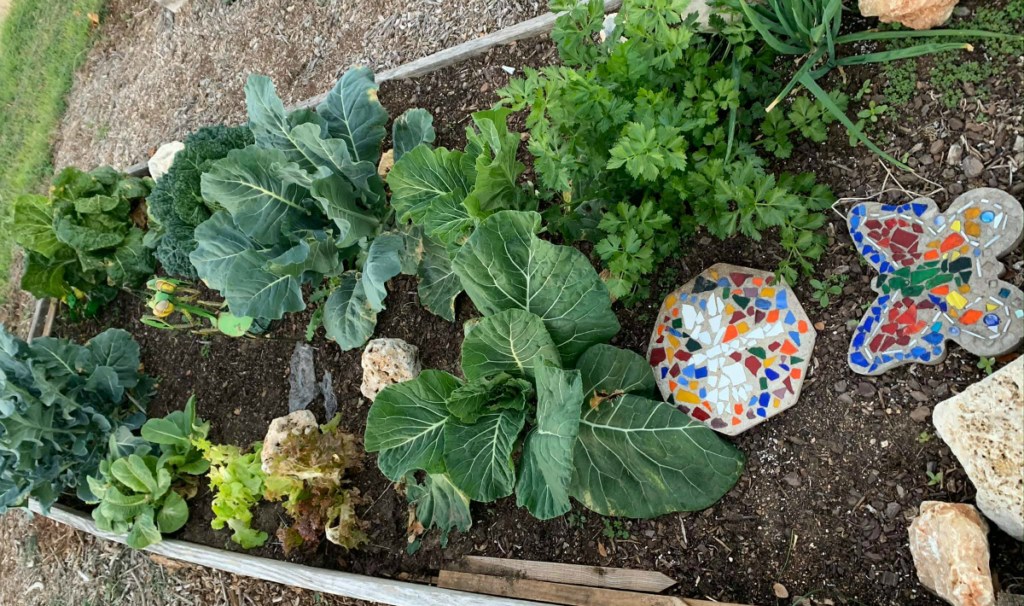 community garden plot