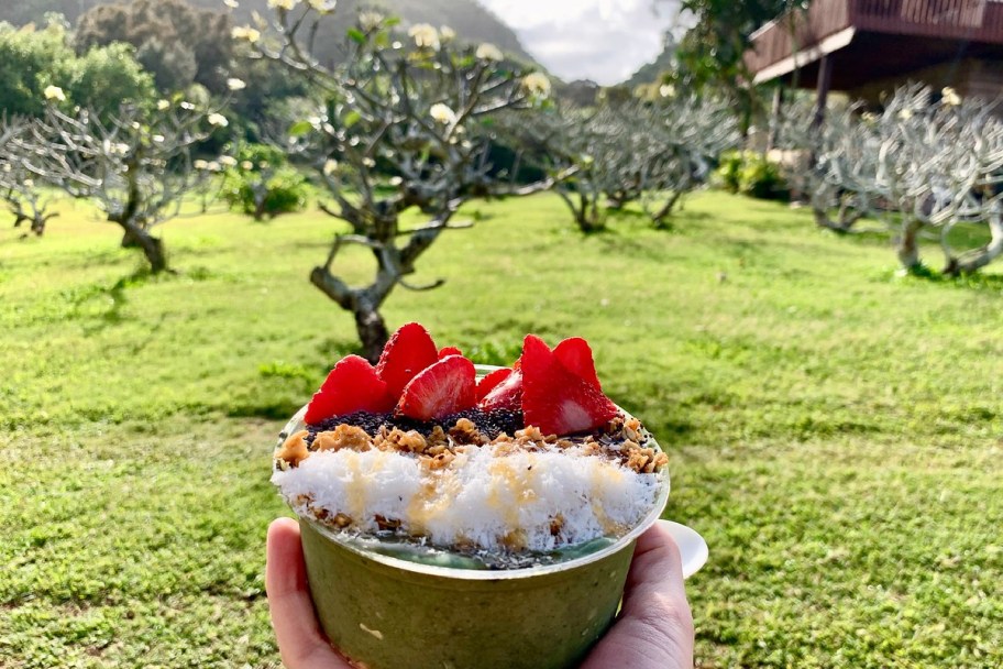 hand holding fruit bowl in coconut with trees in background