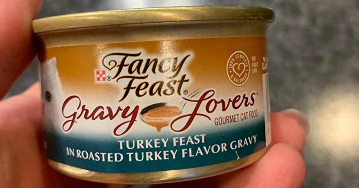 hand holding can of cat food