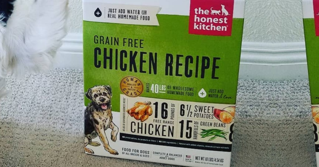 box of The Honest Kitchen Human Grade Dehydrated Grain Free Dog Food on carpet floor