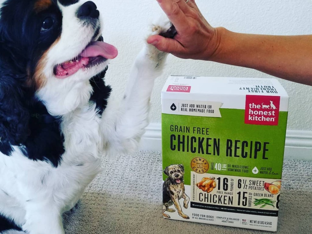 dog giving human hand a high five with box of The Honest Kitchen Human Grade Dehydrated Grain Free Dog Food in Free Range Chicken next to them