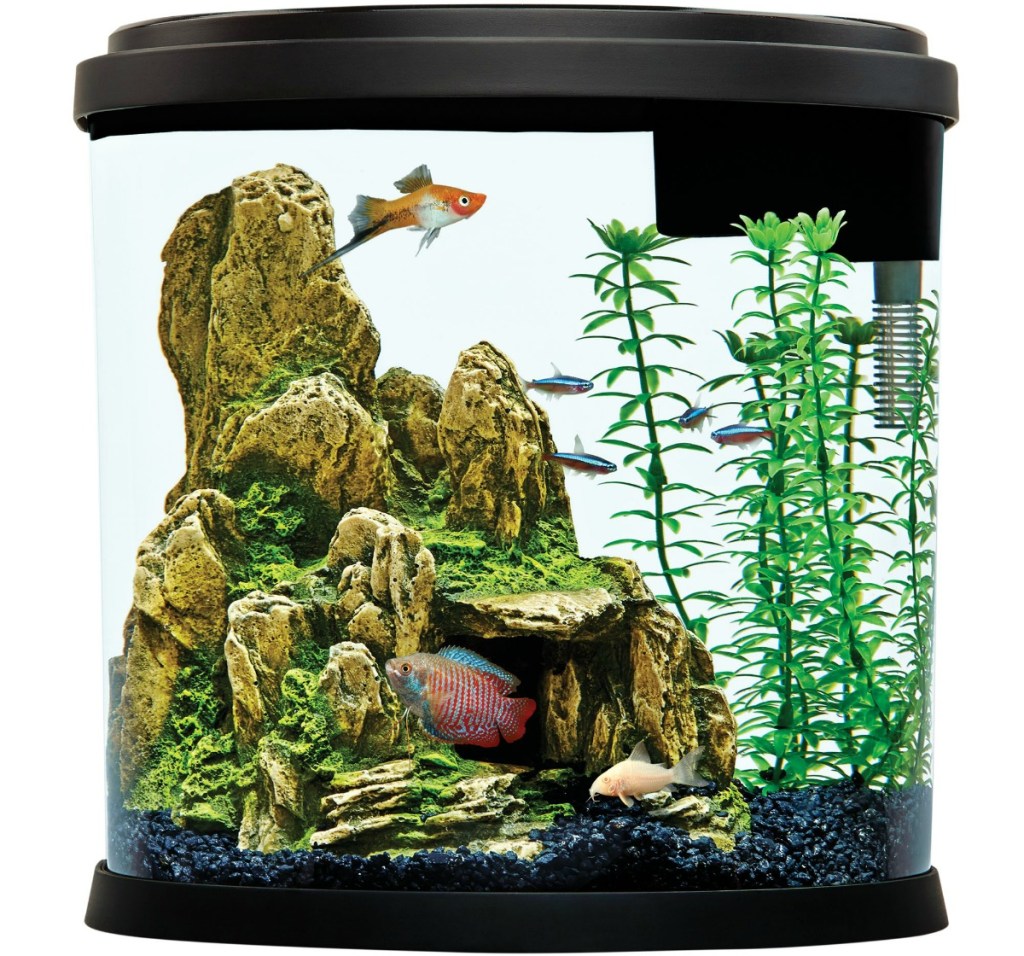 Top Fin 3.5 Gallon Aquarium shown with fish inside