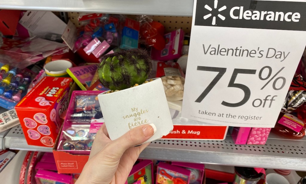 hand holding a potted cactus by sign at Walmart