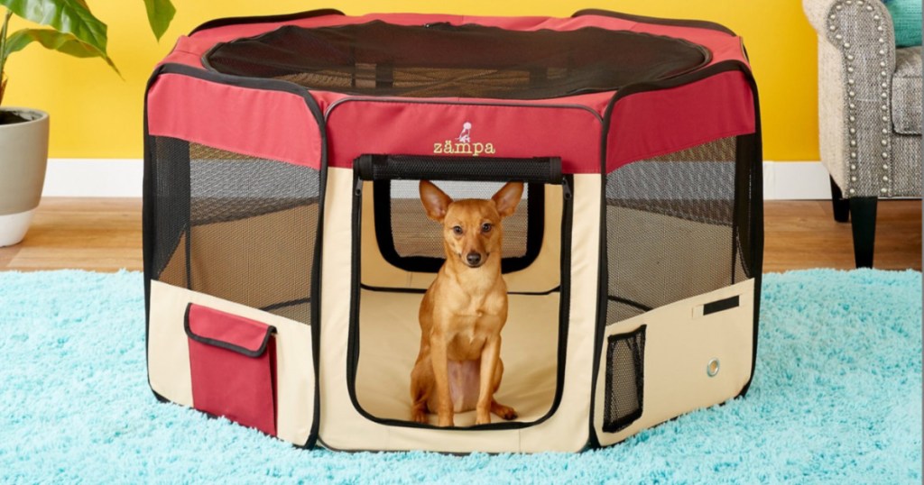 small dog sitting in Zampa Pet Folding Playpen Red