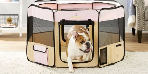 This Zampa Pet Folding Playpen Has Over 1,000 5-Star Reviews AND is Over 50% Off