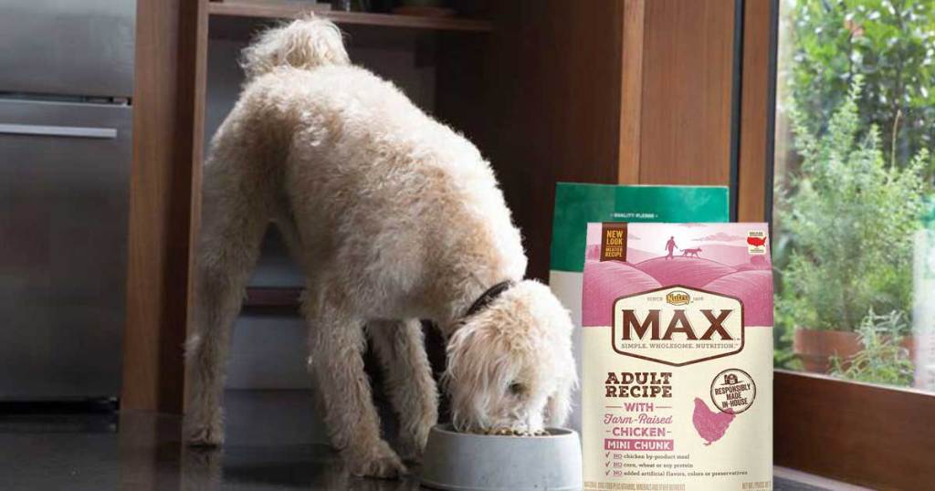 dog eating out of a bowl with a bag of dog food