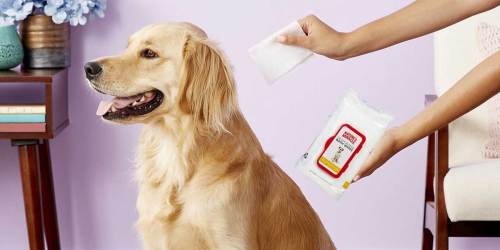 200 Nature’s Miracle Pet Wipes Only $8 Shipped on Amazon ($24 Value)