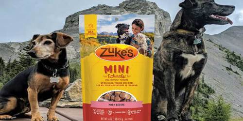 Zuke’s Natural Dog Treats Just $5.52 Shipped on Amazon