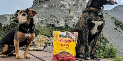 Zuke’s Natural Training Dog Treats Only $2.53 Shipped on Amazon