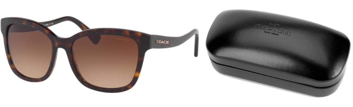 brown sunglasses and black case