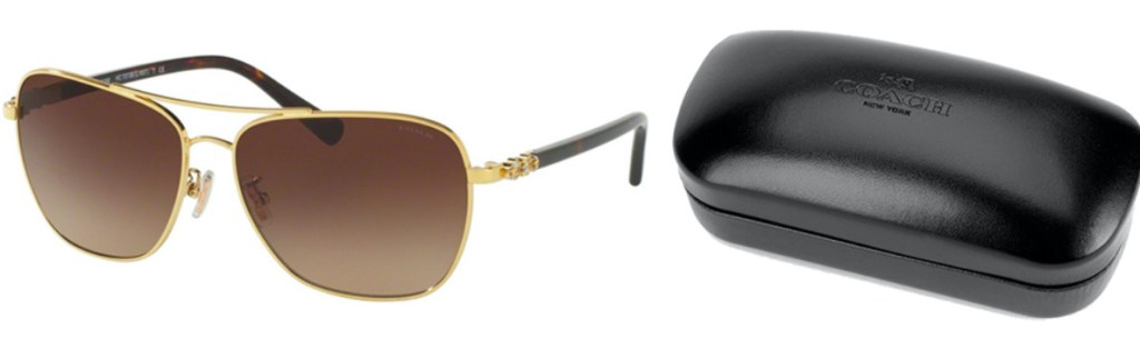 gold and light brown sunglasses and black case