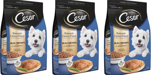 Cesar Dry Dog Food 12 Lb. Bag Only $6.65 on Chewy.com (Regularly $16)