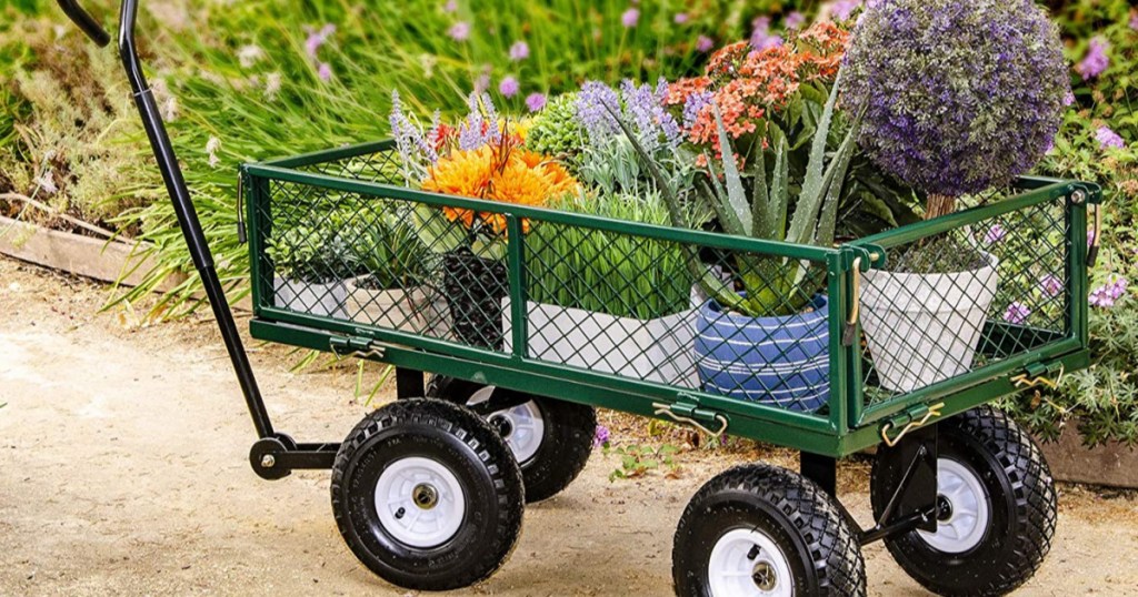 green garden steel cart with flowers inside of it