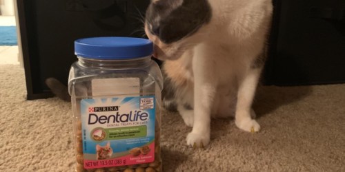 Purina DentaLife Adult Cat Treats Only $3.51 Shipped on Amazon (Regularly $8)