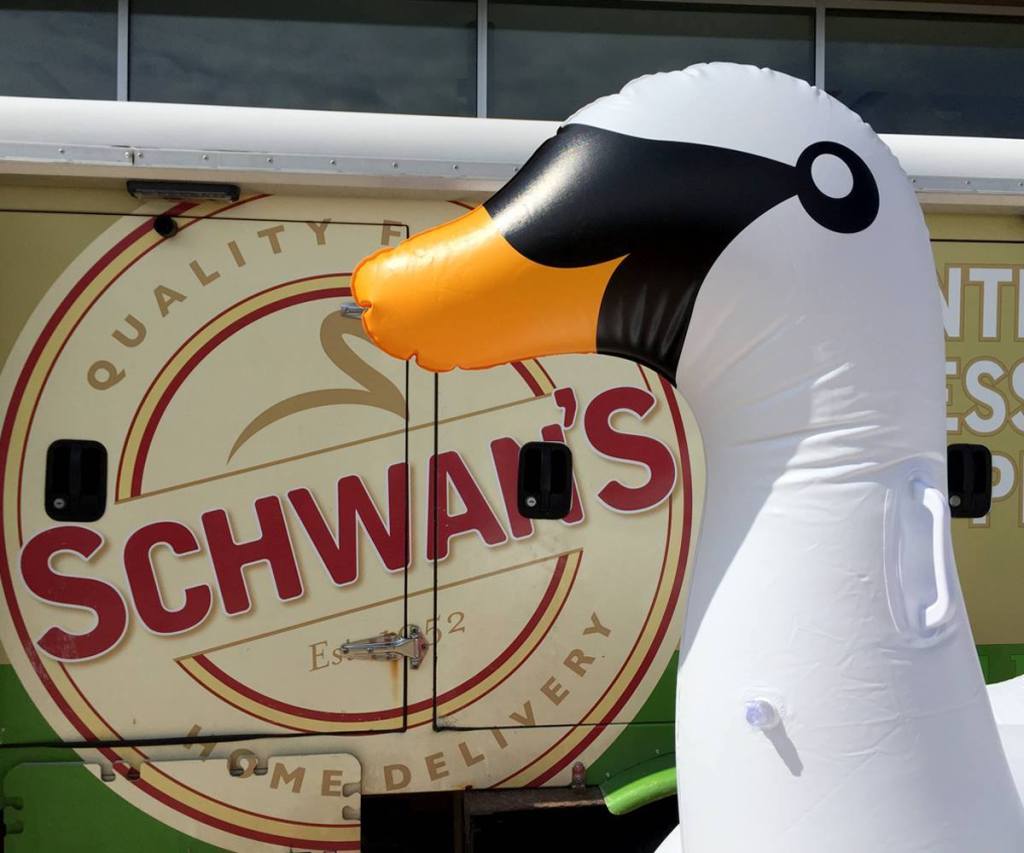 swan in front of Schwan's truck