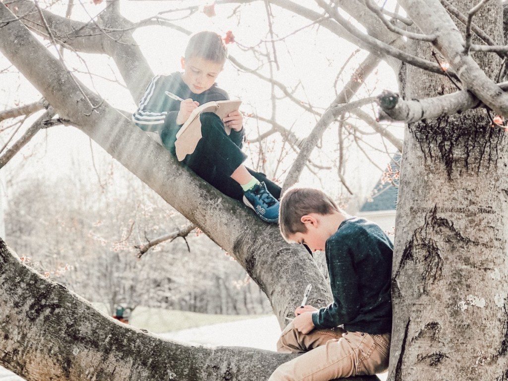 Boys doing homework in tree