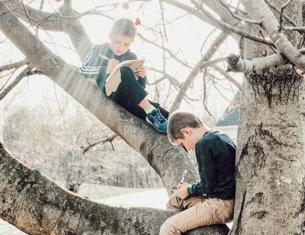 boys writing in a journal in a tree