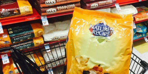 Nature’s Recipe Dog Food 15-Pound Bags as Low as $9 Shipped on Amazon