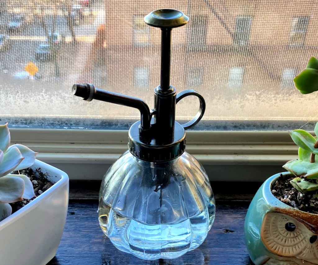 vintage spray bottle next to window