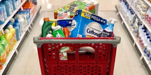 FREE $15 Target Gift Card w/ $50 Household Purchase | Stack w/ Circle Offers For BIG Savings on Tide, Raid & More