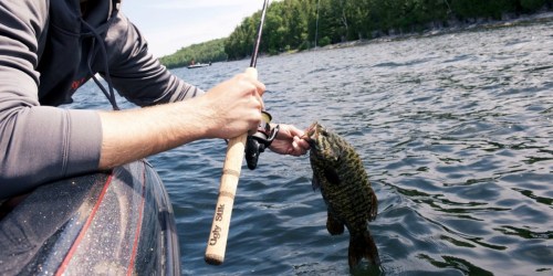 50% Off Ugly Stik Elite Series Fishing Rod on Walmart.com