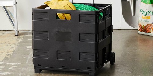 Collapsible Rolling Utility Cart Only $14.99 on Zulily (Regularly $40)