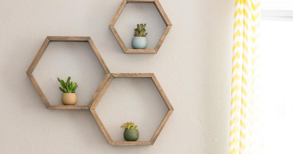 three Costa Farms 2 in. Mini Unique Succulents in hexagon frames on wall