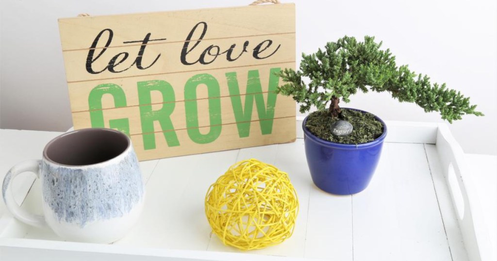 Costa Farms Petite Bonsai Juniper plant on white table with sign that says let love grow, coffee up, and yellow yarn ball